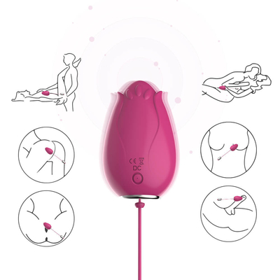 Đồ Chơi Tình Dục Trứng Rung Điểm G Cho Nữ Điều Khiển Không Dây Mini Flower Silicone